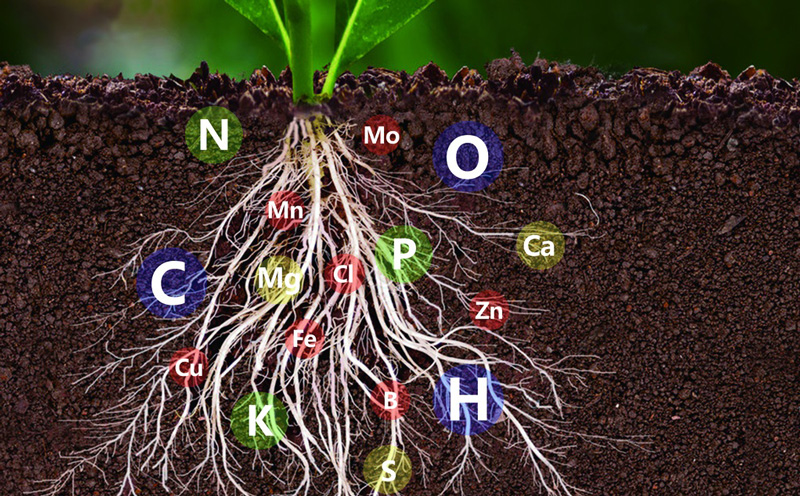 土壤中氮磷鉀含量的測定，土壤氮磷鉀檢測儀快速準(zhǔn)確
