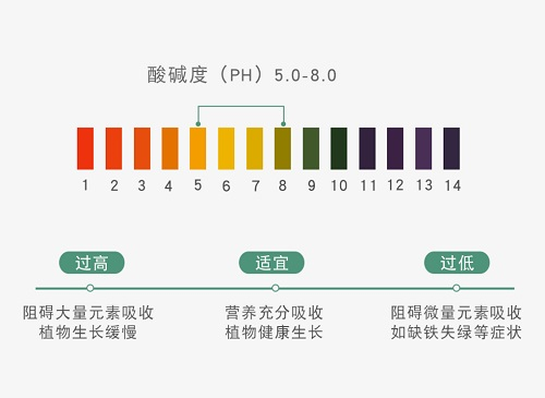 應(yīng)用土壤pH速測(cè)儀加強(qiáng)土壤檢測(cè)