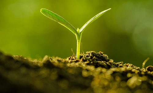 為避免誤導(dǎo)用戶，便攜式土壤水分速測儀使用需注意