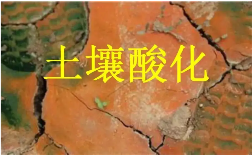 識別土壤“病”，土壤測試儀器是如何提高土壤免疫力的？