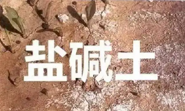 作物為什么生長(zhǎng)不健康，用土壤EC計(jì)測(cè)測(cè)便知