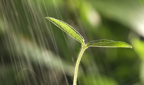 土壤水分測(cè)試儀-土壤水分儀的操作使用