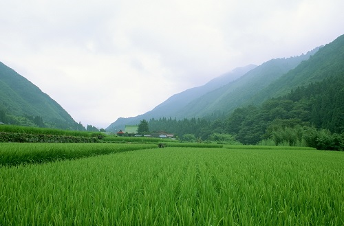 測(cè)土配方施肥儀：科學(xué)測(cè)土施肥讓土壤更肥沃
