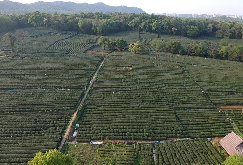 肥料不是越多越，利用測(cè)土儀提高化肥利用率