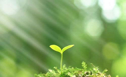 推廣測(cè)土配方施肥技術(shù)的有哪些好處？