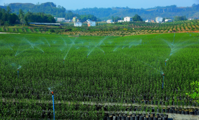 利用土壤水分測(cè)定儀實(shí)現(xiàn)精準(zhǔn)灌溉，按需灌溉